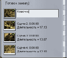 А затем введите описание сцены