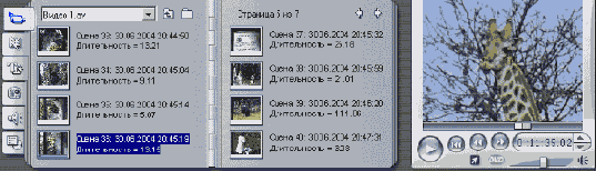 Теперь на картинке мы видим жирафа